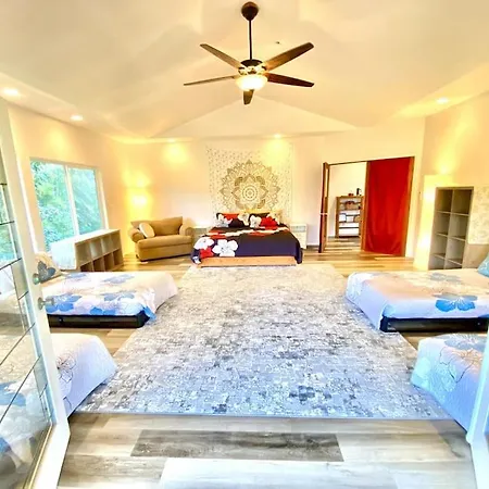 The Honomu House - Gorgeous, Spacious 4Bd2Ba Home Near Waterfalls And Hilo, Sleeps 12! Exterior photo