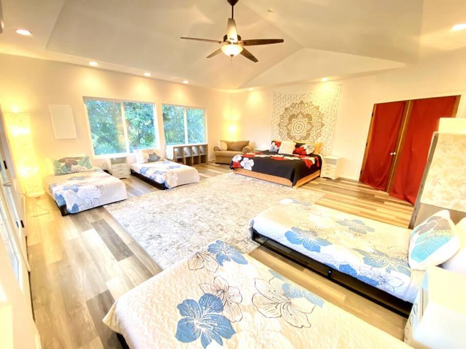 The House - Gorgeous, Spacious 4bd2ba Near Waterfalls And Hilo, Sleeps 12! * Honomu