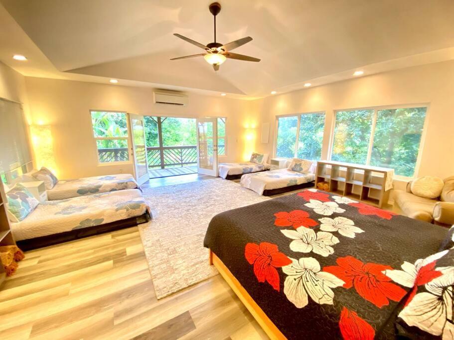 The House - Gorgeous, Spacious 4bd2ba Near Waterfalls And Hilo, Sleeps 12!